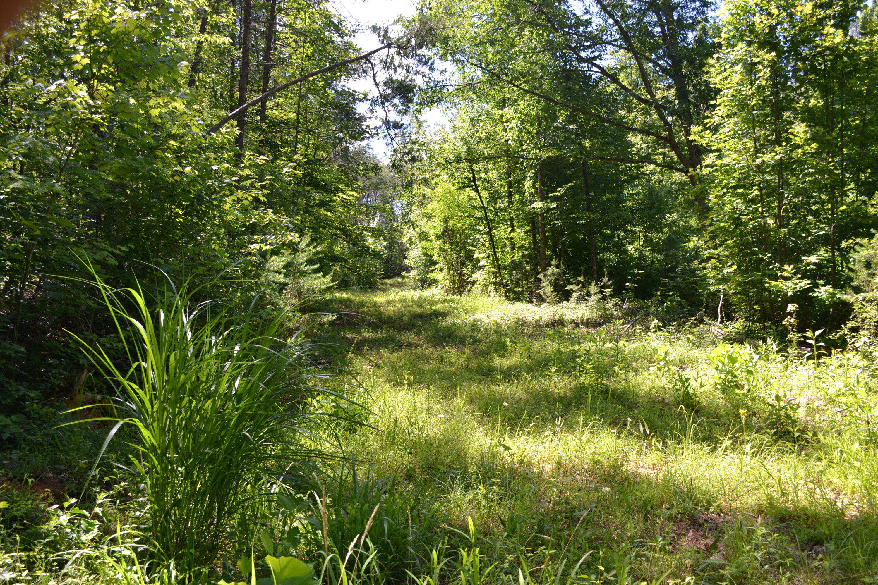 94 Bryants Lake Road Bassett, VA 24055 - Photo 41 of 46 DSC_0052