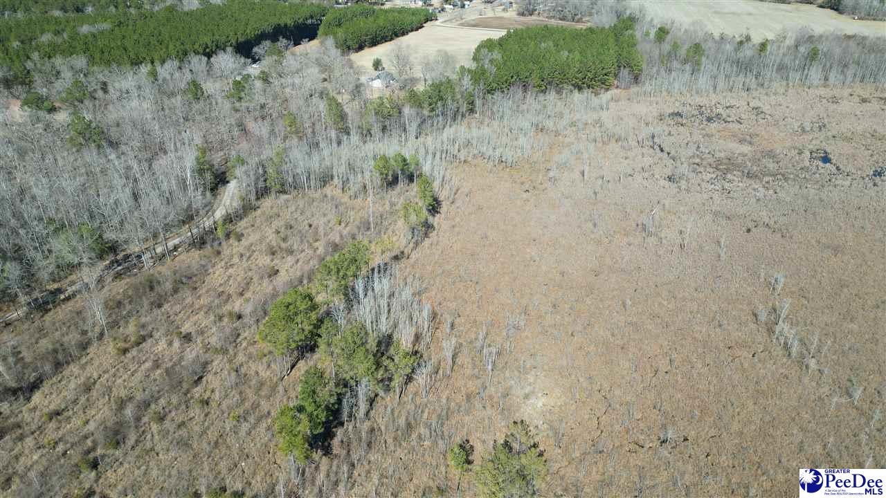 Tbd Peacock Road Marion, SC 29571 - Photo 34 of 55 Gallery Image 34