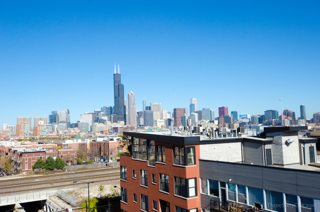 1618 South Halsted Street, Unit 4A Chicago, IL 60608 - Photo 13 of 13