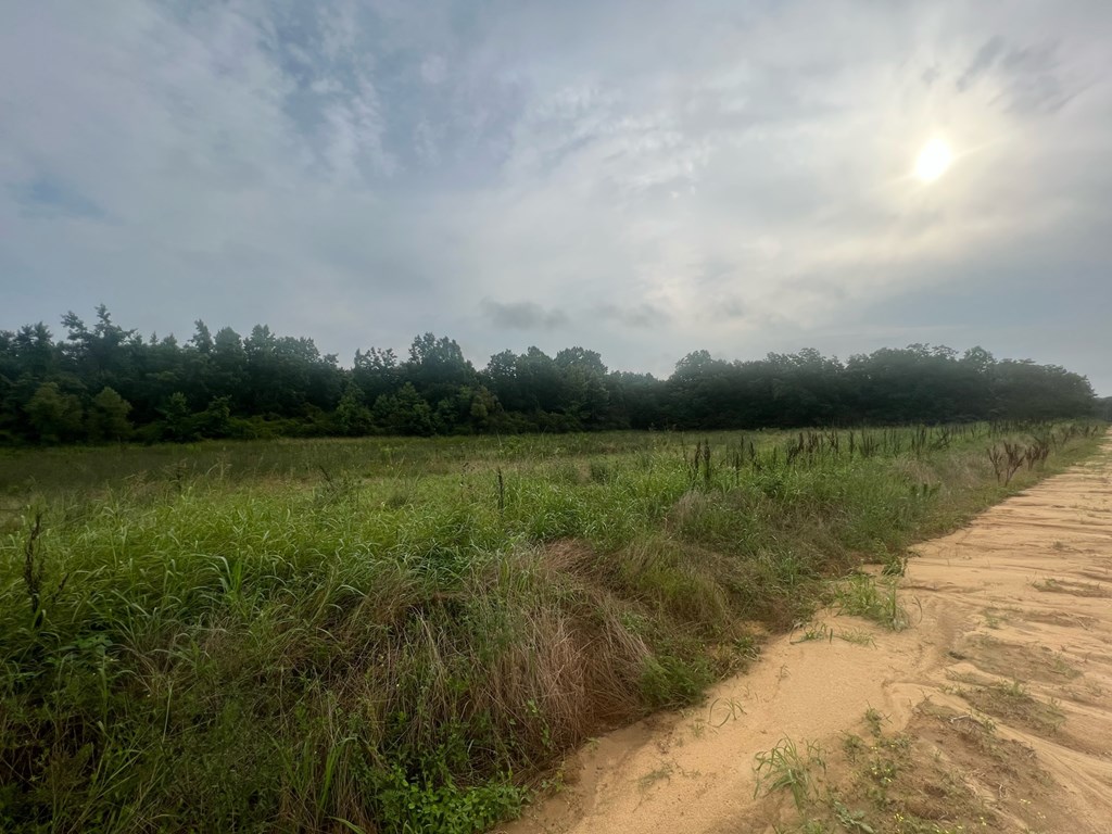 0 H Merritt Road Slocomb, AL 36375 - Photo 3 of 6