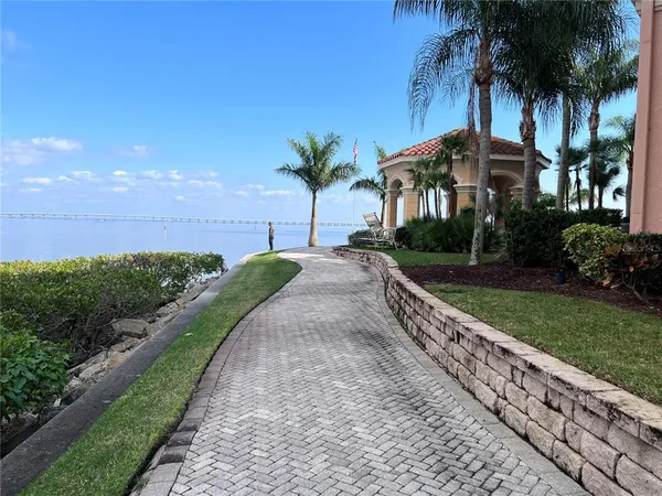 a view of a yard and palm trees