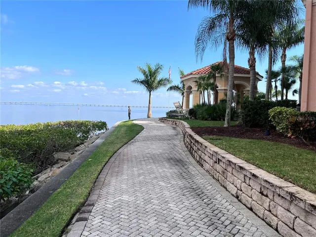a view of a yard and palm trees