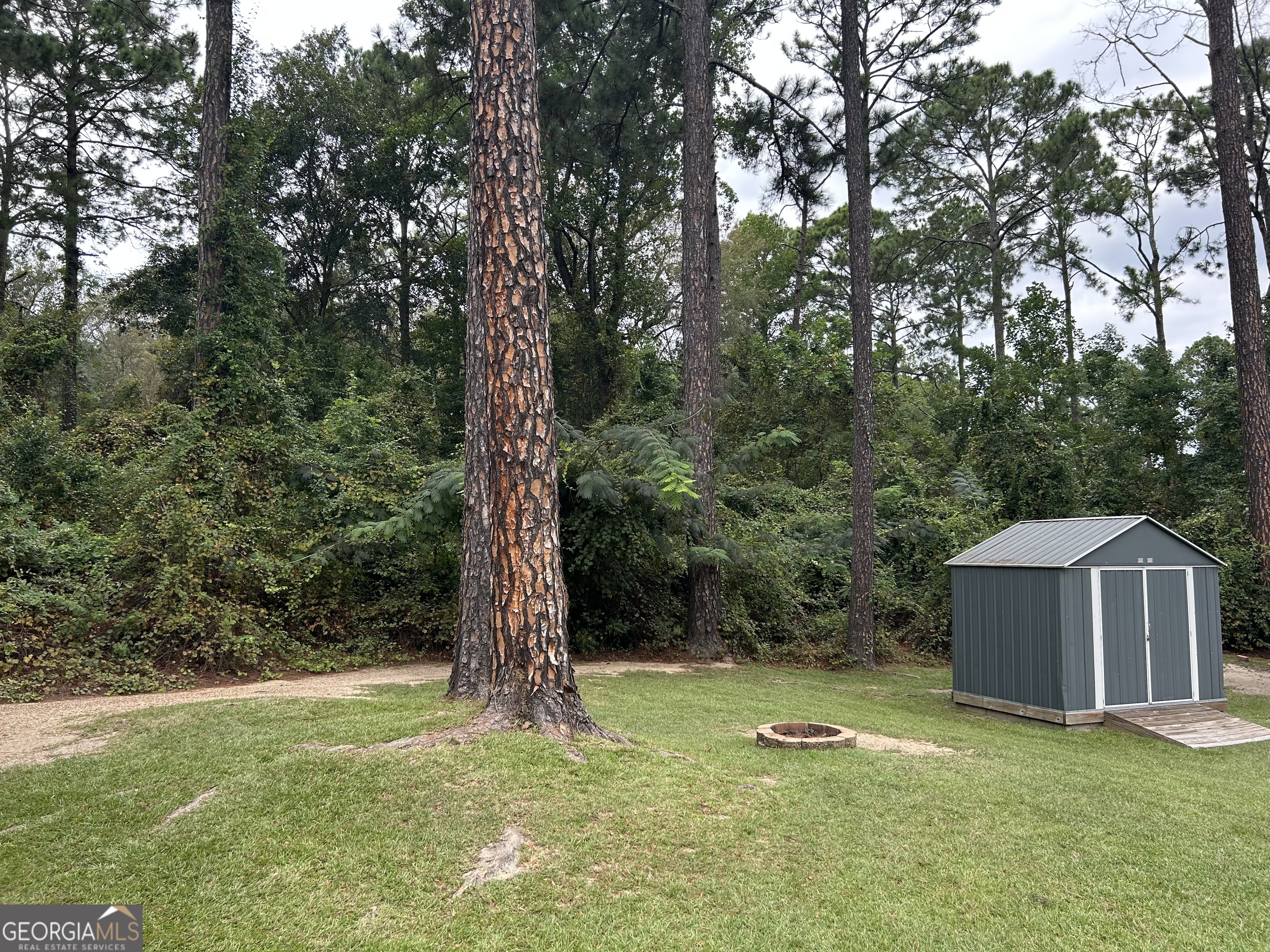94 24th Avenue Eastman, GA 31023 - Photo 10 of 27 a backyard of a house with lots of green space