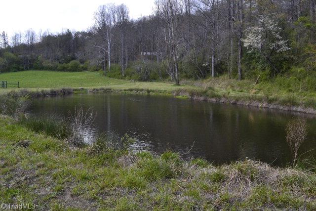190 Casper Hawkins Road Ferguson, NC 28624 - Photo 7 of 18