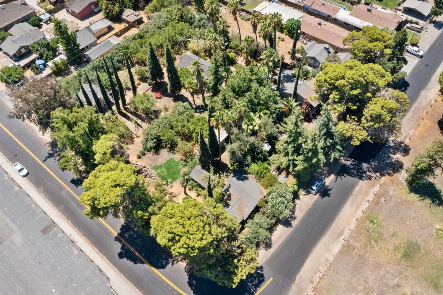 view of a lot of flowers and covered with wooden fence