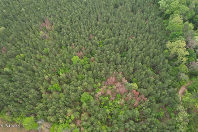 $279,000 | Campbell Creek Road, Mendenhall, MS 39114