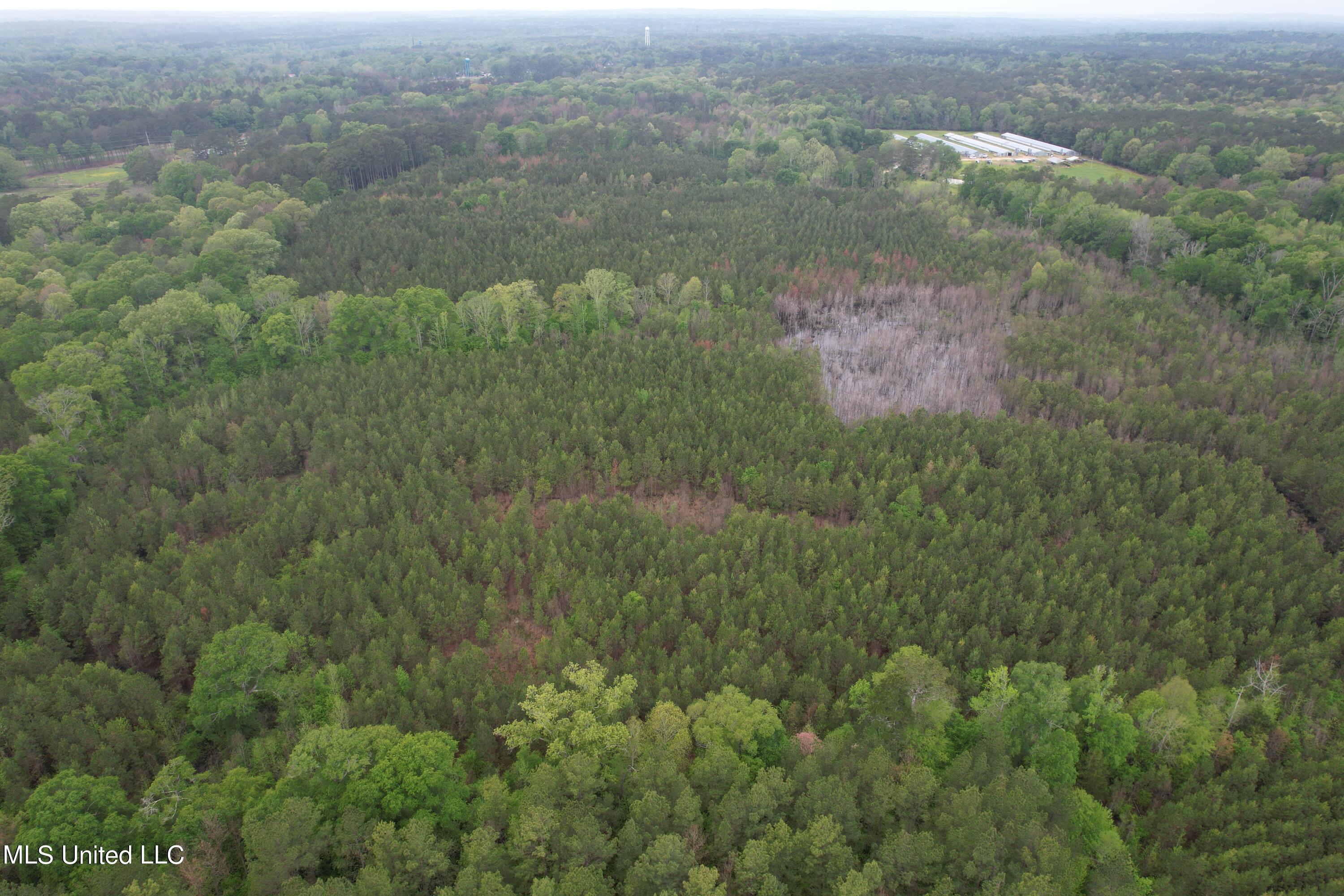 Campbell Creek Road Mendenhall, MS 39114 - Photo 12 of 24 DJI_0273