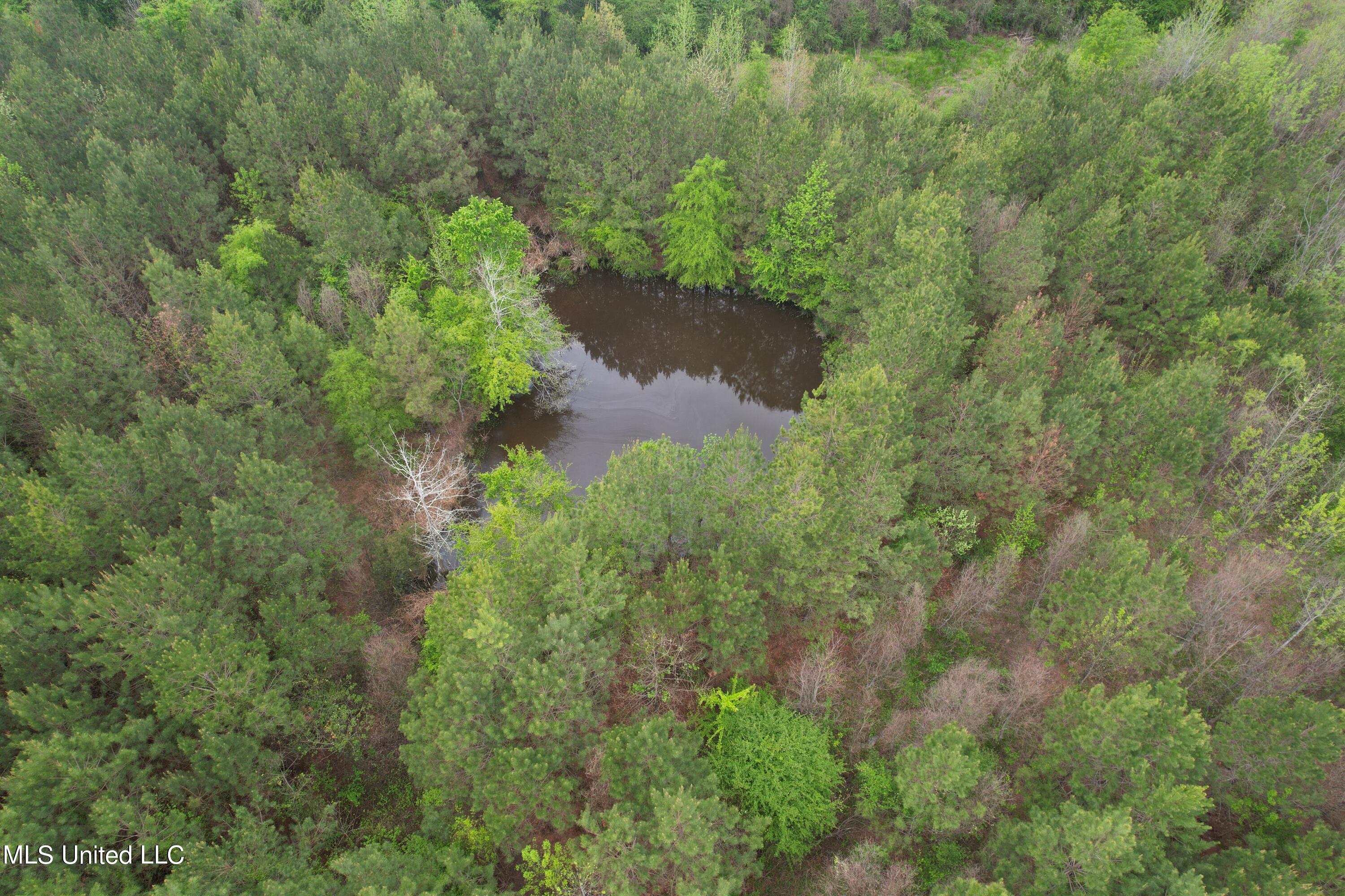 Campbell Creek Road Mendenhall, MS 39114 - Photo 14 of 24 DJI_0282