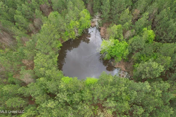 $279,000 | Campbell Creek Road, Mendenhall, MS 39114
