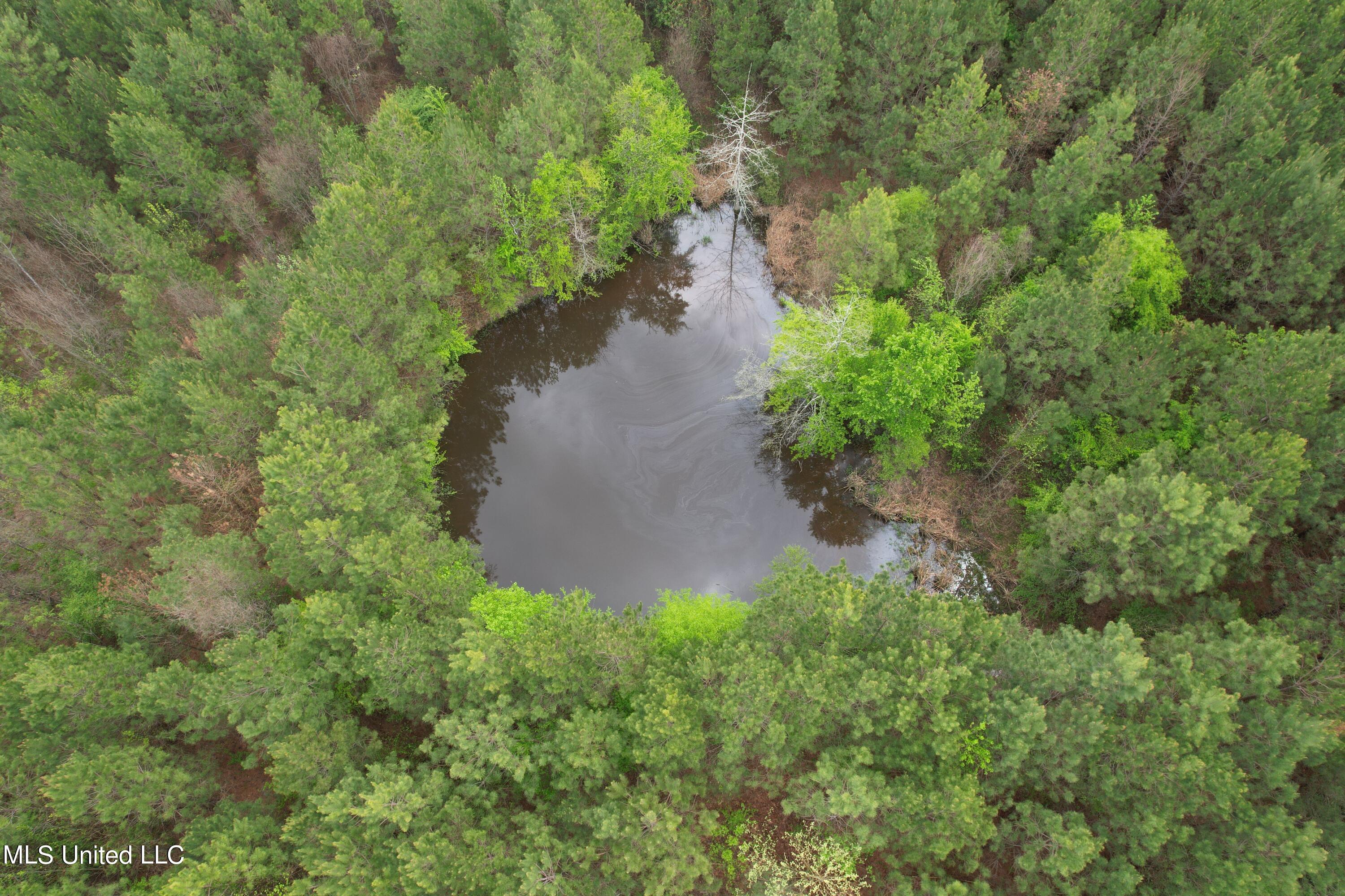 Campbell Creek Road Mendenhall, MS 39114 - Photo 15 of 24 DJI_0284