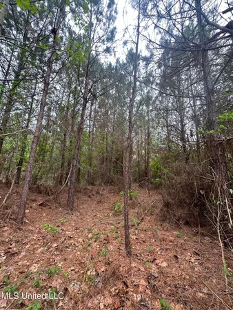 $279,000 | Campbell Creek Road, Mendenhall, MS 39114