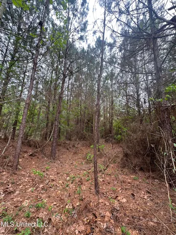 $279,000 | Campbell Creek Road, Mendenhall, MS 39114