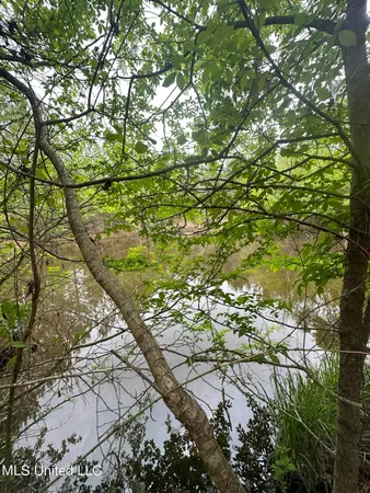 $279,000 | Campbell Creek Road, Mendenhall, MS 39114