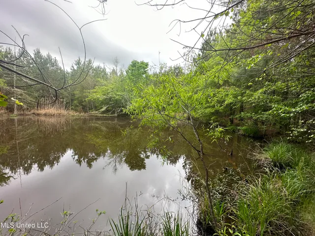 $279,000 | Campbell Creek Road, Mendenhall, MS 39114