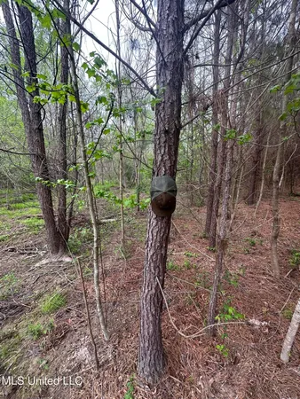 $279,000 | Campbell Creek Road, Mendenhall, MS 39114