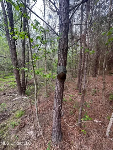 $279,000 | Campbell Creek Road, Mendenhall, MS 39114