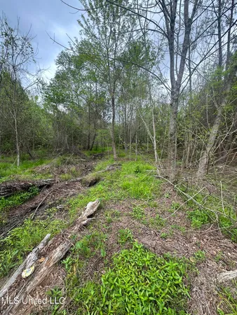 $279,000 | Campbell Creek Road, Mendenhall, MS 39114