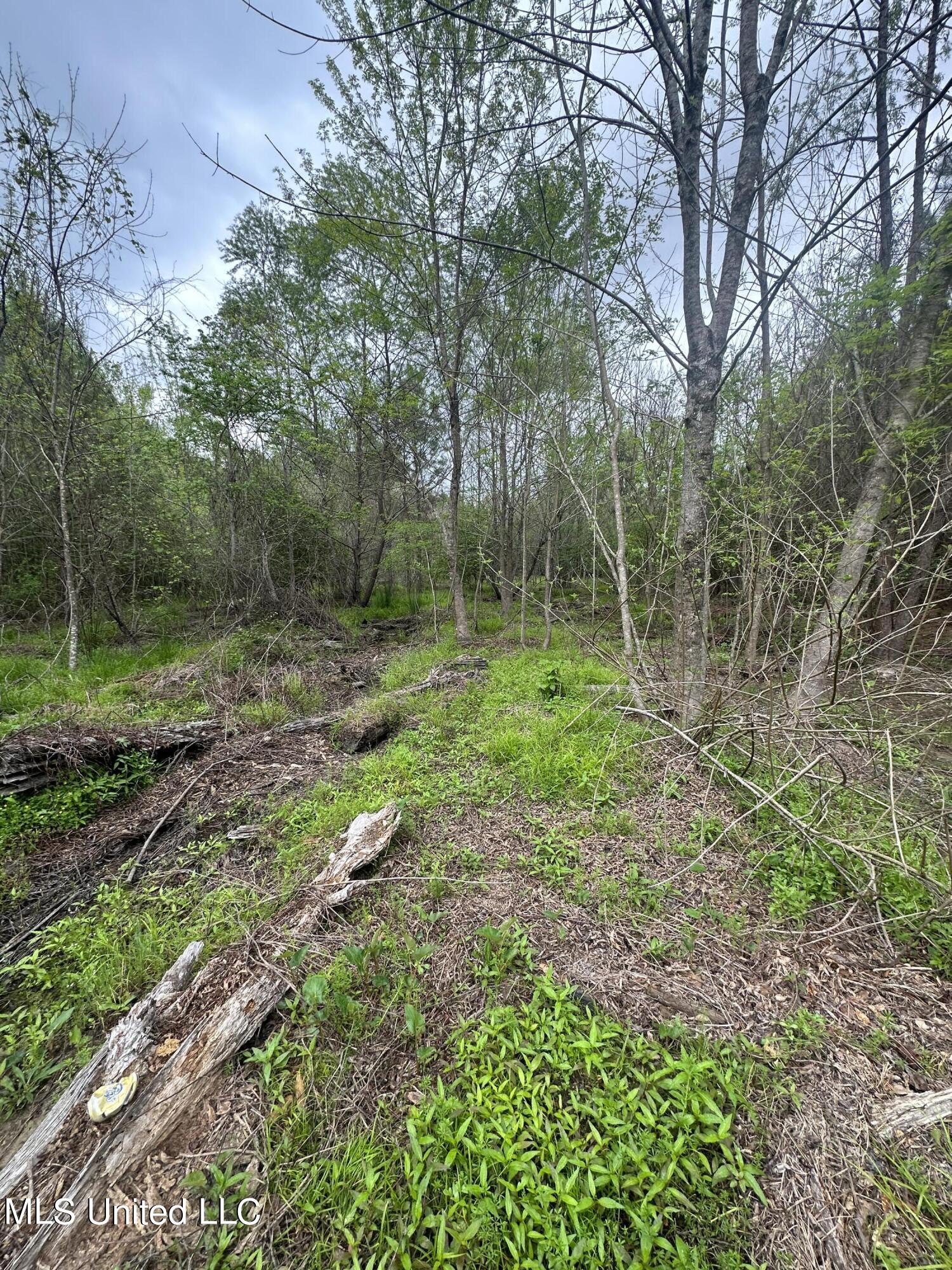 Campbell Creek Road Mendenhall, MS 39114 - Photo 20 of 24 IMG_1791