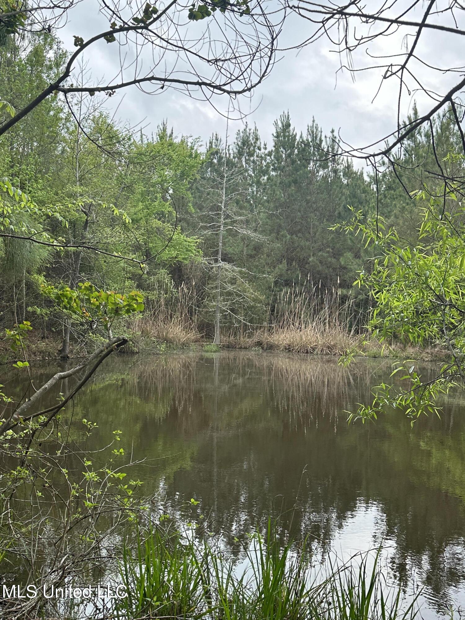 Campbell Creek Road Mendenhall, MS 39114 - Photo 22 of 24 IMG_1795