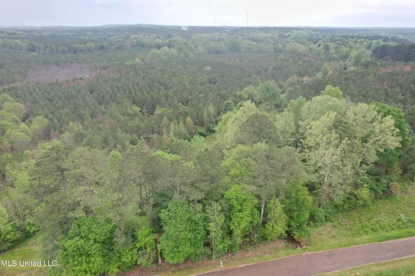 $279,000 | Campbell Creek Road, Mendenhall, MS 39114