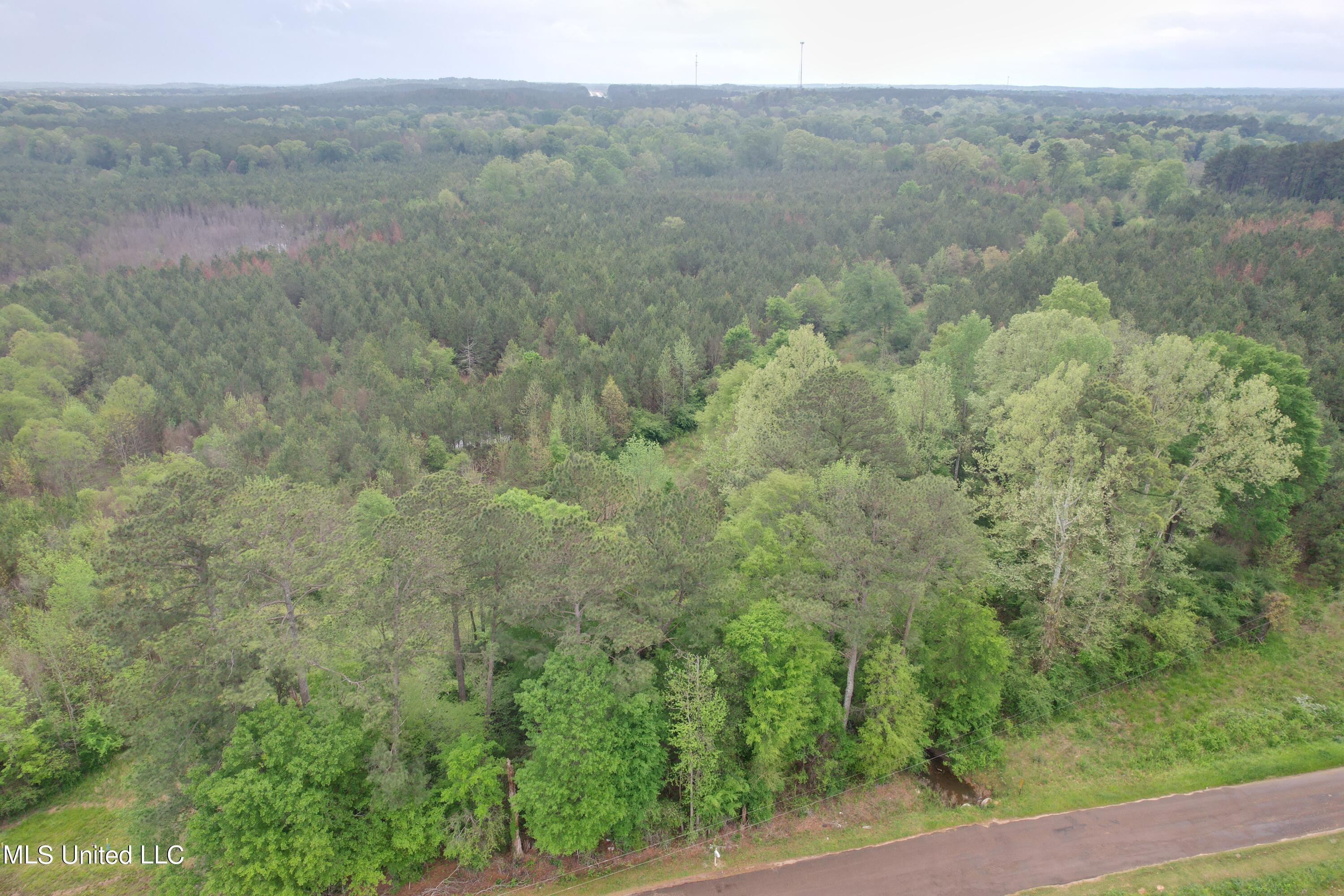 Campbell Creek Road Mendenhall, MS 39114 - Photo 3 of 24 DJI_0263