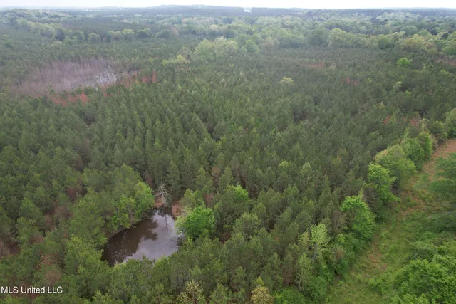 $279,000 | Campbell Creek Road, Mendenhall, MS 39114