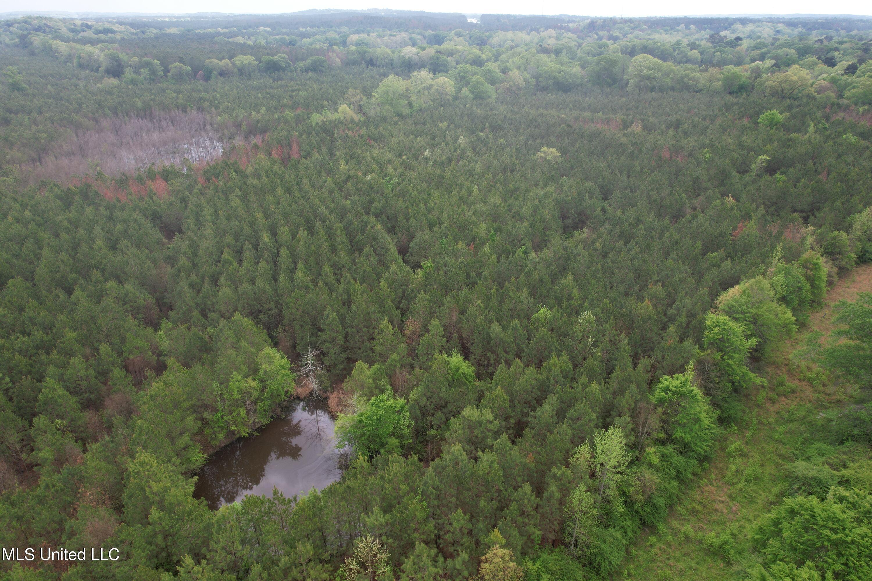 Campbell Creek Road Mendenhall, MS 39114 - Photo 5 of 24 DJI_0265