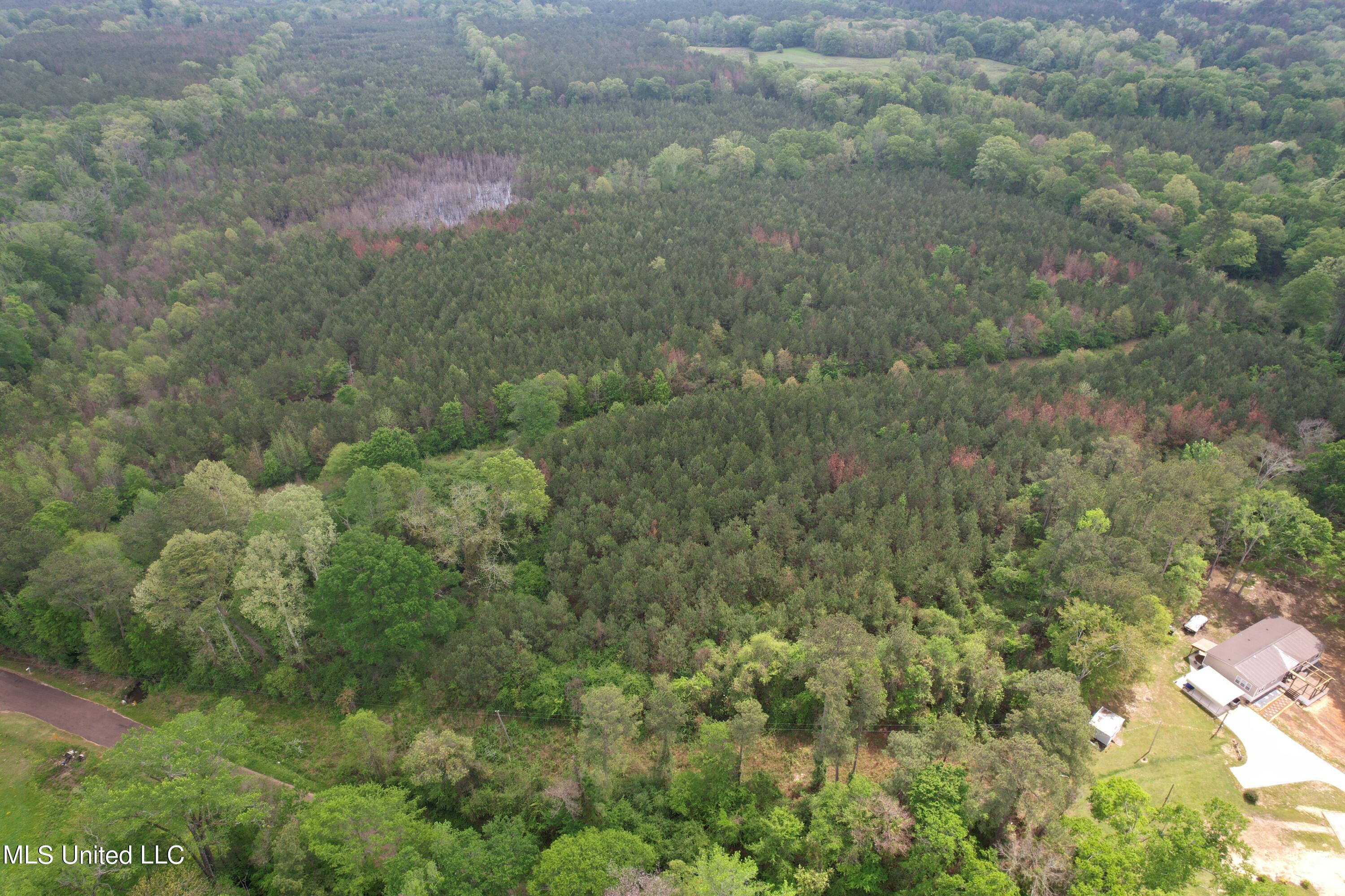 Campbell Creek Road Mendenhall, MS 39114 - Photo 9 of 24 DJI_0269