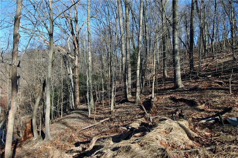 0 Thompson Run Road Pittsburgh, PA 15237 - Photo 2 of 11 Overlooking the majority of the land.