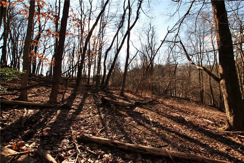 0 Thompson Run Road Pittsburgh, PA 15237 - Photo 4 of 11 Level area.