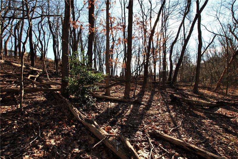 0 Thompson Run Road Pittsburgh, PA 15237 - Photo 5 of 11 More of level area.