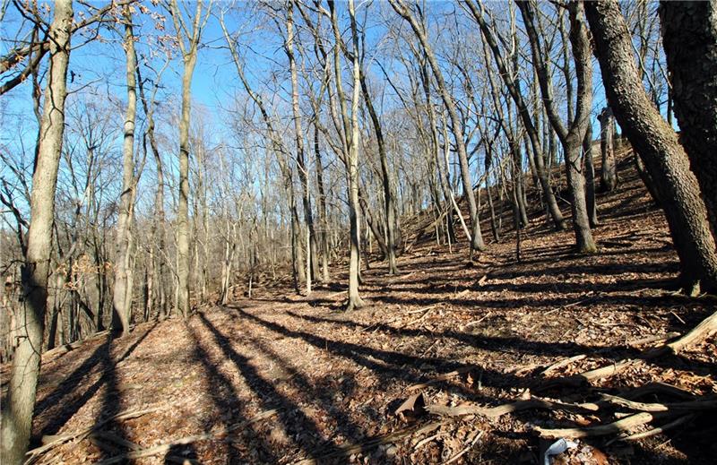 0 Thompson Run Road Pittsburgh, PA 15237 - Photo 6 of 11 Mostly level area.
