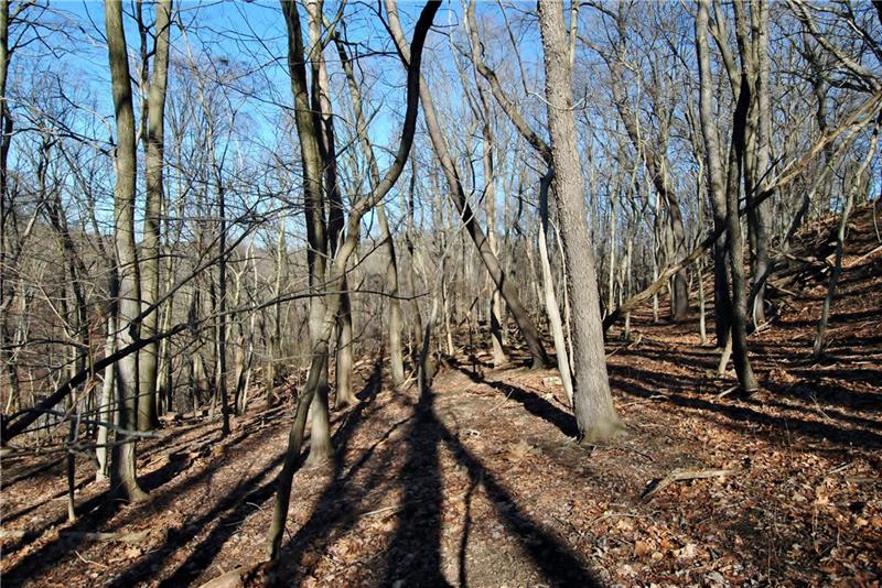 0 Thompson Run Road Pittsburgh, PA 15237 - Photo 7 of 11 More of level area.