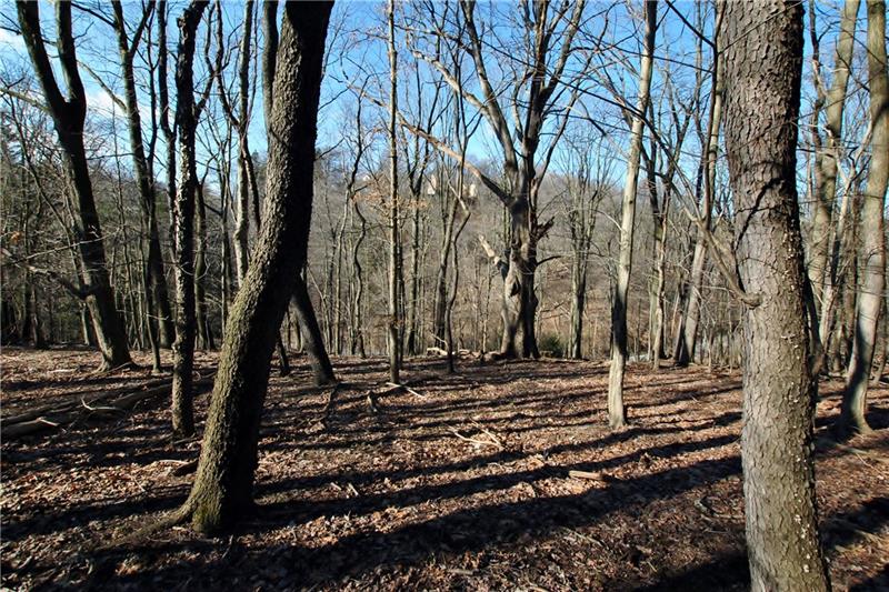 0 Thompson Run Road Pittsburgh, PA 15237 - Photo 8 of 11 Looking down toward Thompson Run in the mostly level area.