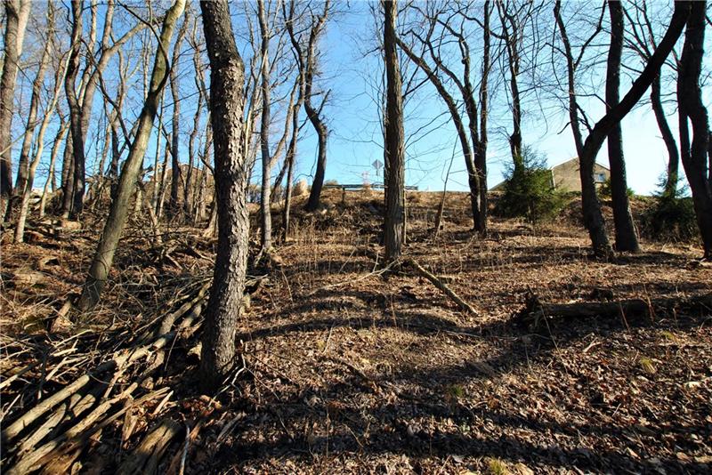 0 Thompson Run Road Pittsburgh, PA 15237 - Photo 9 of 11 Looking up at a possible access point from neighborhood behind the land. Must confirm with Ross Township if this could be used as an access point.