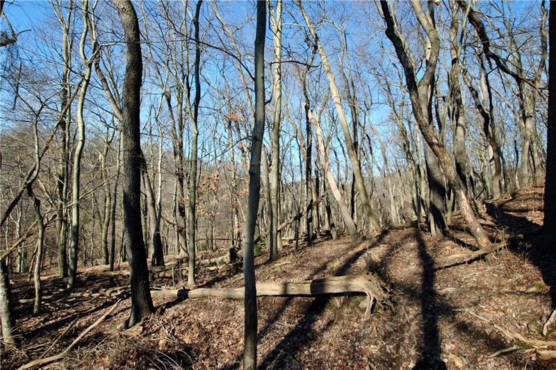 0 Thompson Run Road Pittsburgh, PA 15237 - Photo 10 of 11 More of the level area.