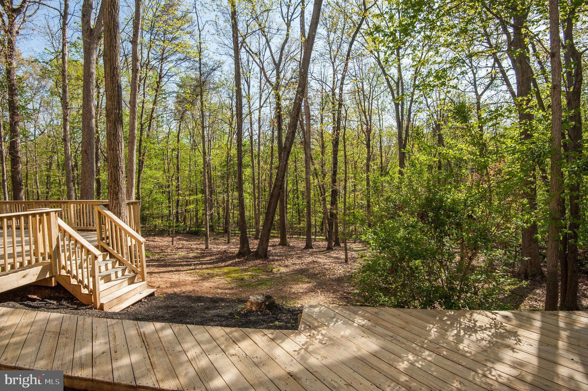 10809 Cross School Road Reston, VA 20191 - Photo 11 of 60