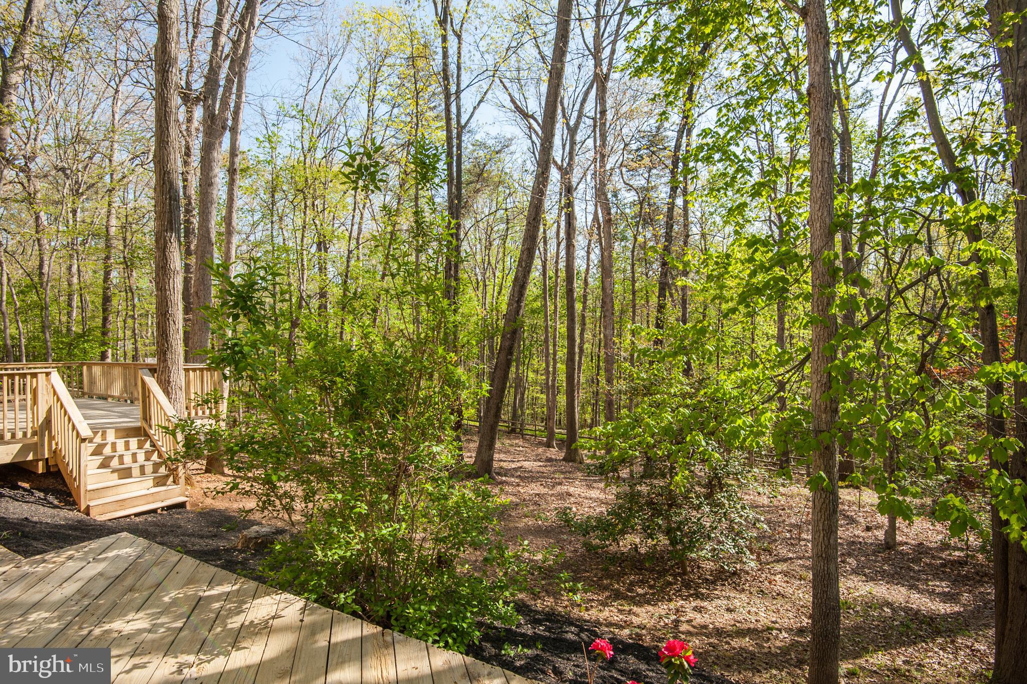 10809 Cross School Road Reston, VA 20191 - Photo 15 of 60 a view of outdoor space and garden