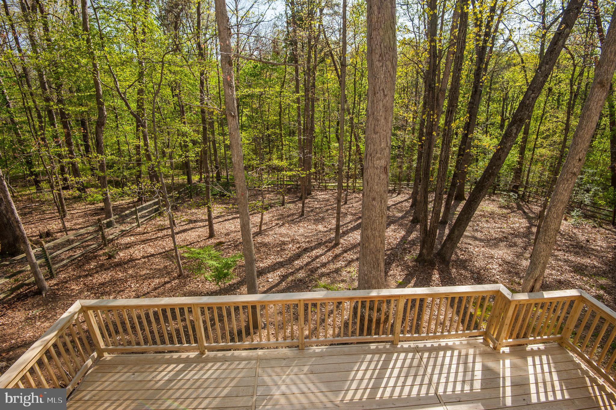 10809 Cross School Road Reston, VA 20191 - Photo 10 of 60