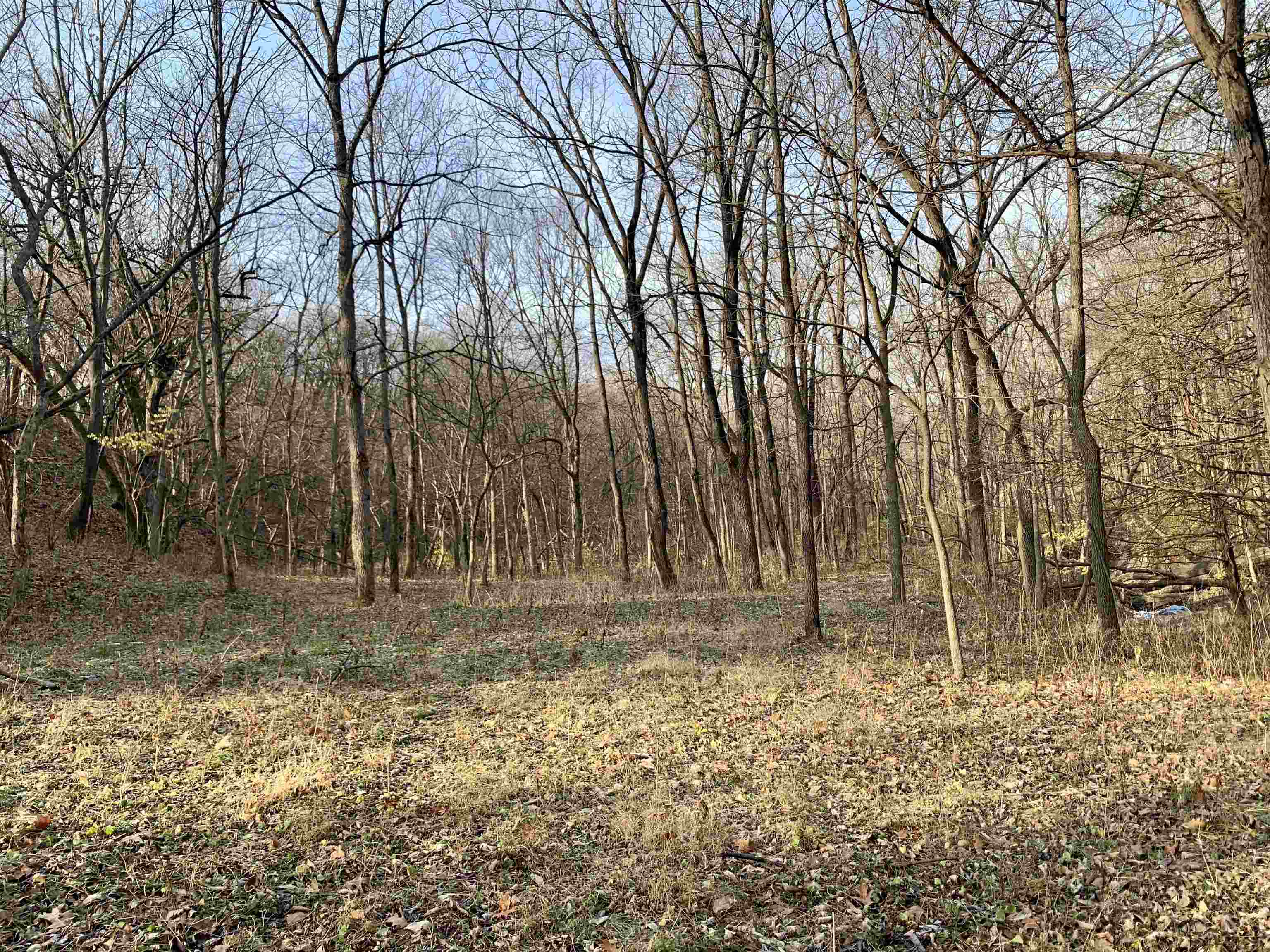 13545 3 Mile Road Savanna, IL 61074 - Photo 9 of 13 Gallery Image 9