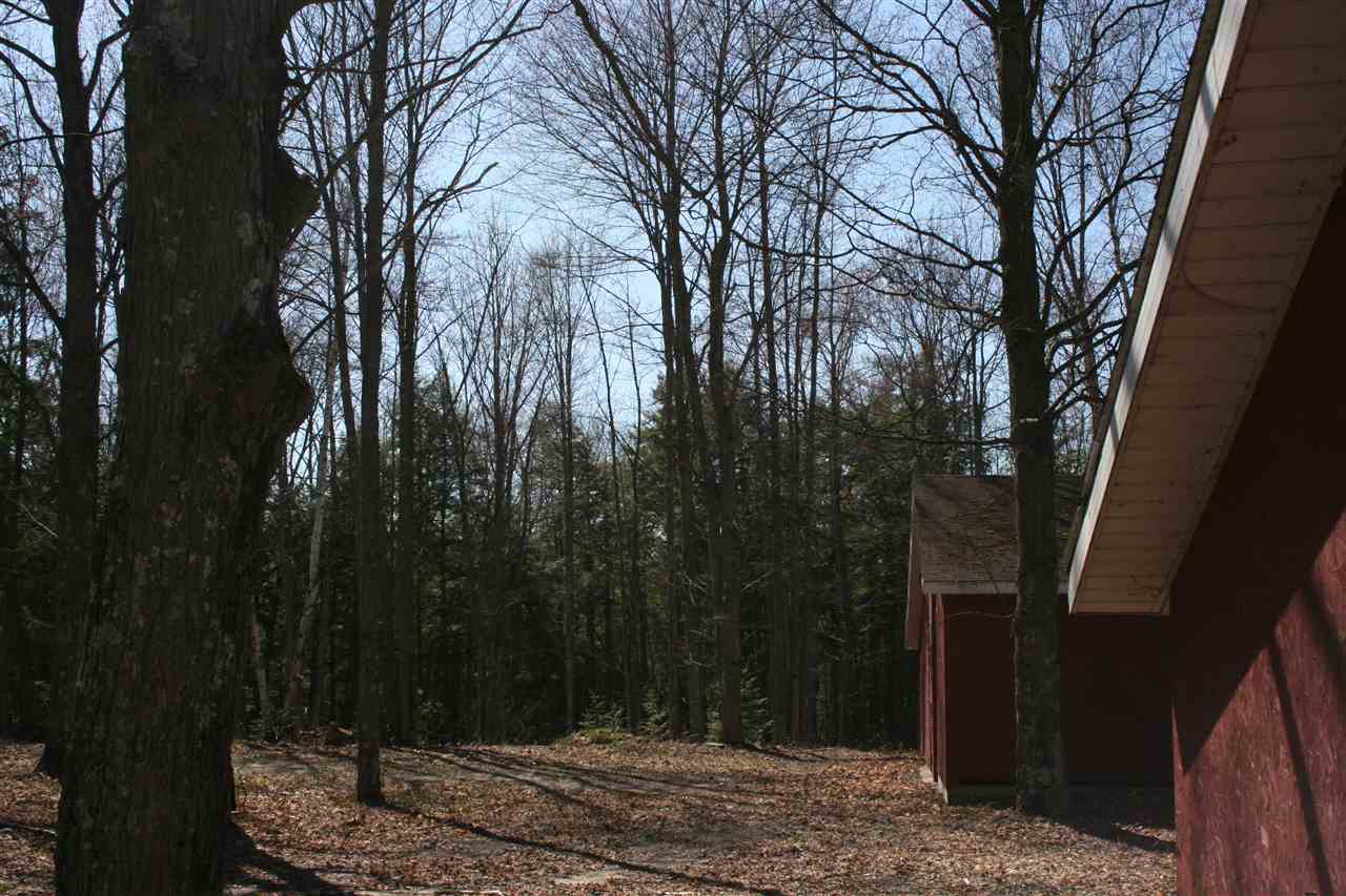 0 Campbell Road Elk Rapids, MI 49629 - Photo 12 of 17 1842007-11.JPG
