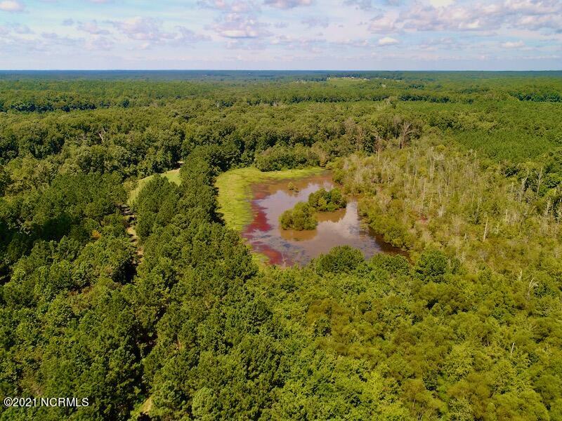 10431 Lake Royalle Road Spring Hope, NC 27882 - Photo 28 of 48 DJI_0349