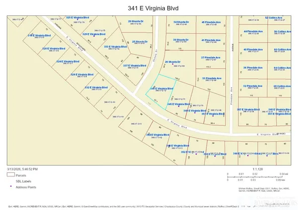 $89,000 | 341 East Virginia Boulevard, Jamestown, NY 14701
