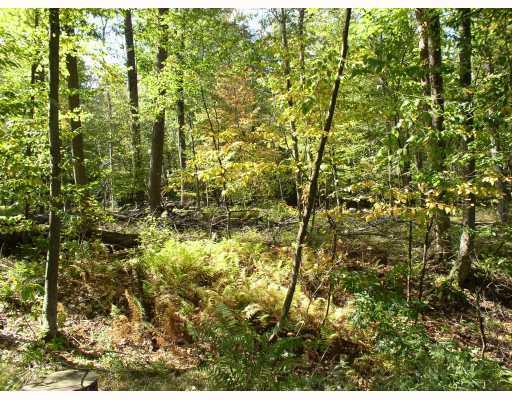 Rd#2 Summit City Road Kennerdell, PA 16374 - Photo 15 of 18 Land/Lot.
