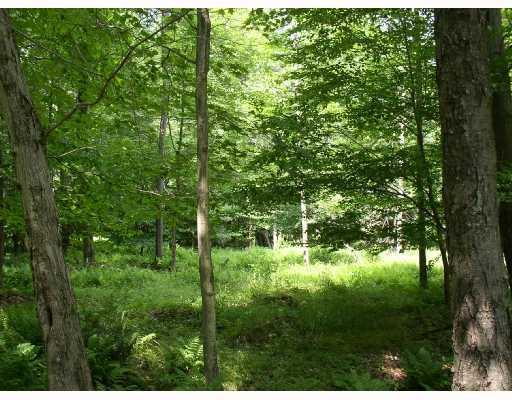 Rd#2 Summit City Road Kennerdell, PA 16374 - Photo 5 of 18 Land/Lot. Most of the 6.3 acres are wooded and full of wildlife which you can observe from the wrap around porch while relaxing.