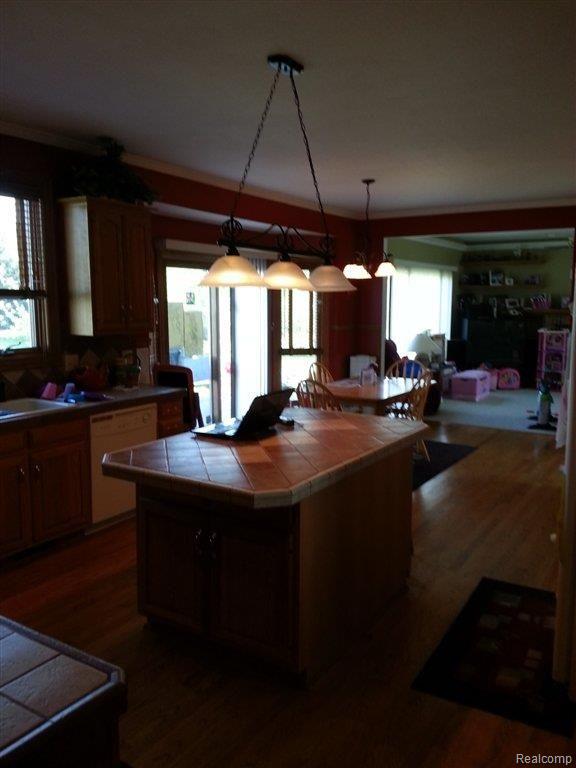 4245 Brest Road Newport, MI 48166 - Photo 3 of 14 Kitchen