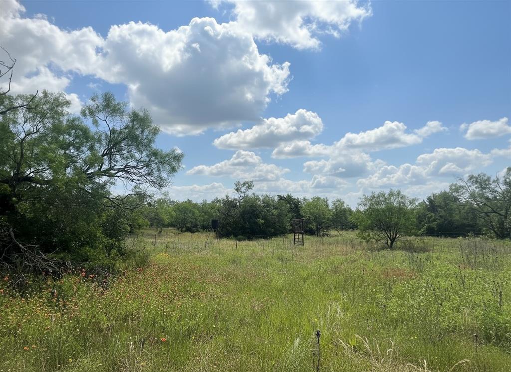 1096 County Road 345 Ranger, TX 76470 - Photo 5 of 9 a view of a city