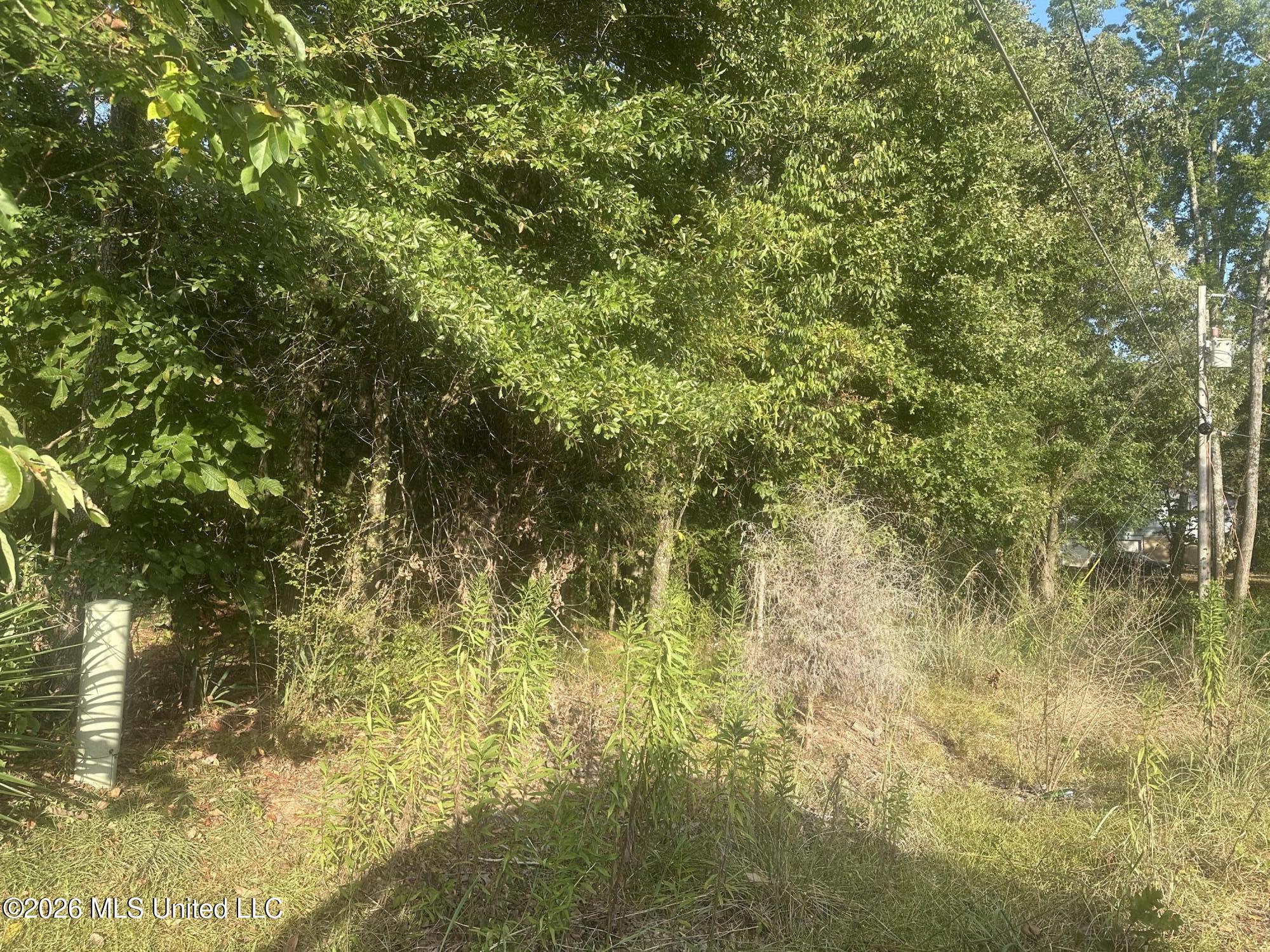 Lake Dockery Road Byram, MS 39272 - Photo 6 of 10 IMG_3759