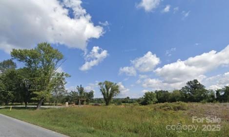 4165 Haywood Road Mills River, NC 28759 - Photo 3 of 4 a view of a big yard with a large tree