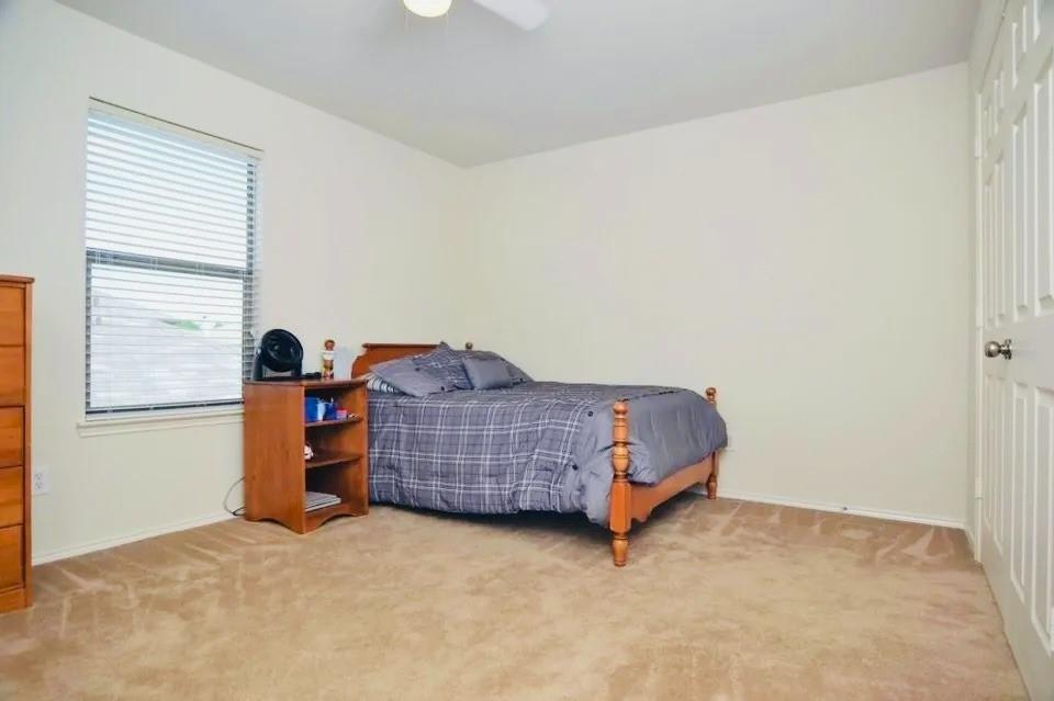 3528 Copper Ridge Drive McKinney, TX 75070 - Photo 9 of 17